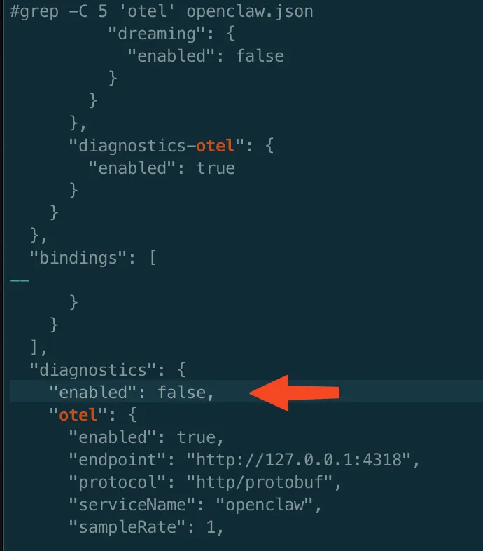 OpenClaw JSON 配置